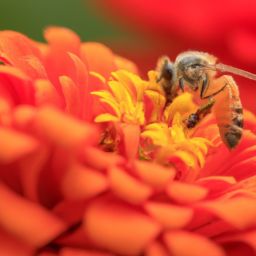 蜂蜜<strong>美容</strong>護(hù)膚的8個方法及蜂蜜每天涂臉15天后效果