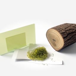 春季<strong>美容</strong>護(hù)膚小知識100條及春季<strong>美容</strong>護(hù)膚小知識100條圖片